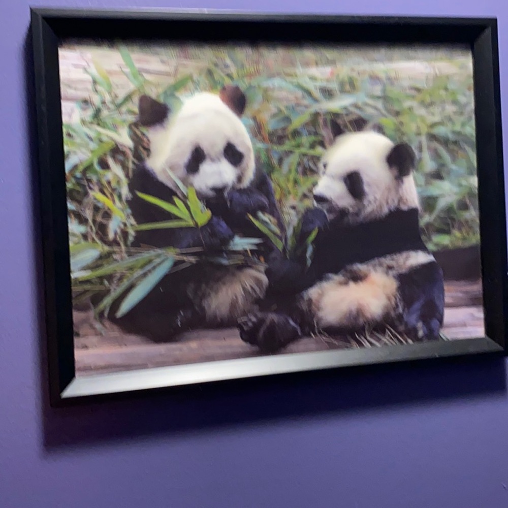 Panda Bears 3D Wall Art